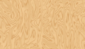 v6-35051-n_1150669605