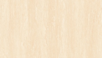 vt6-65018-ms