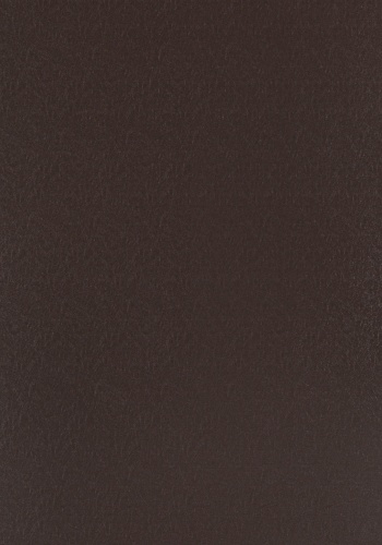 c1-8116-l