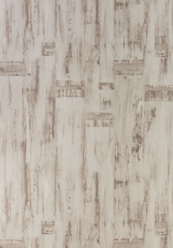c3-7332-sm_600572846