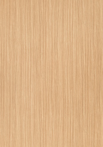 t5-7206-rm_1300311222