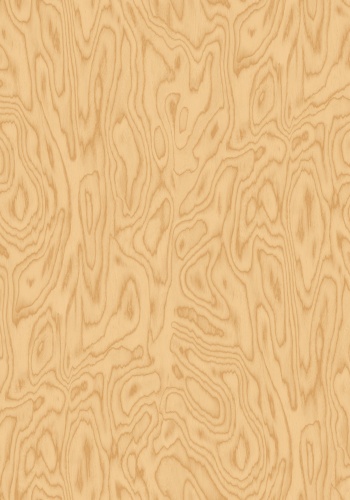 v6-35051-n_1150669605