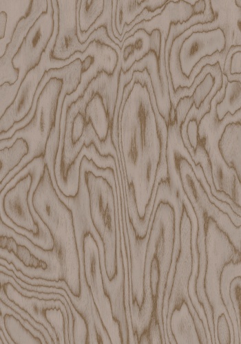 v6-35053-n_1558022875