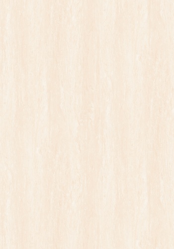 vt6-65017-ms_220872494