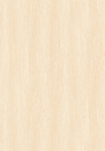 vt6-65018-ms